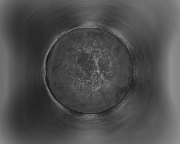 X0000093121479200710101031