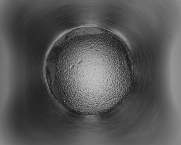 X0000093121480200710101031