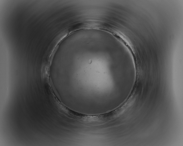 X0000093121481200710101031