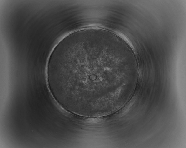 X0000093121482200710101031