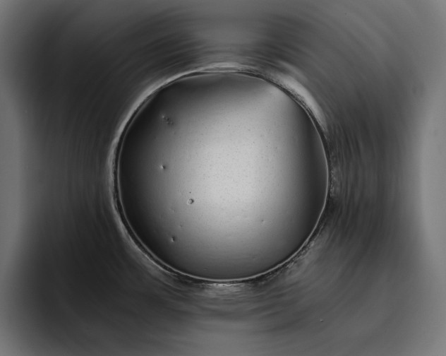 X0000093121483200710101031