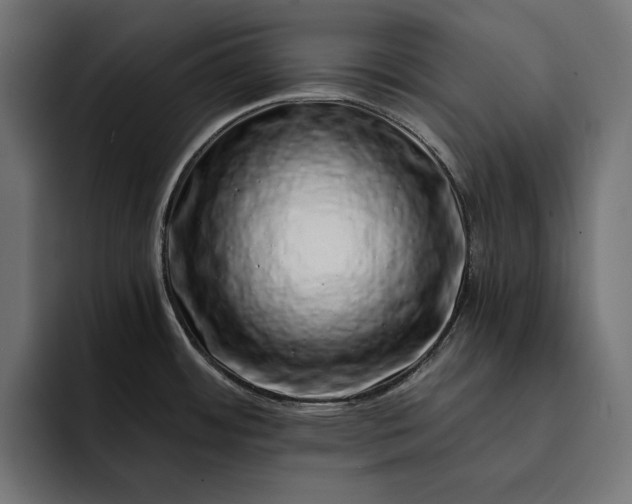 X0000093121484200710101031