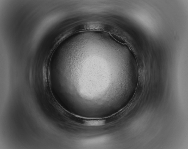 X0000093121487200710101031