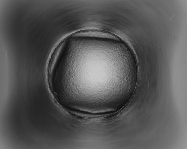 X0000093121488200710101031