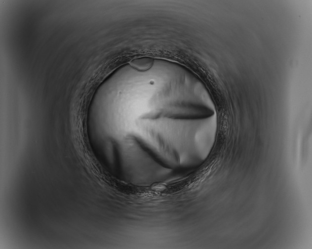 X0000093121489200710101030