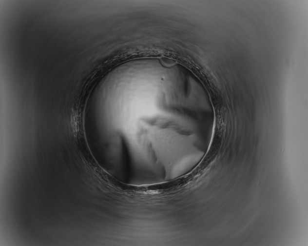 X0000093121490200710101030