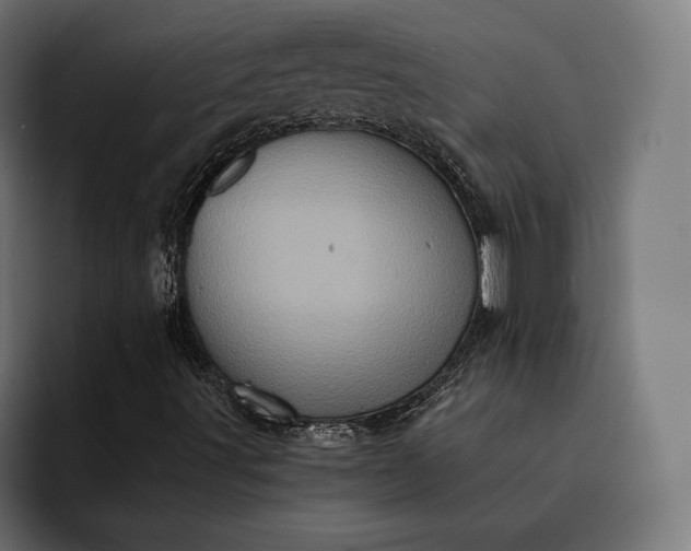 X0000093121491200710101030