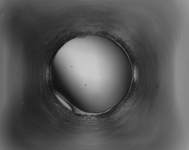 X0000093121492200710101030