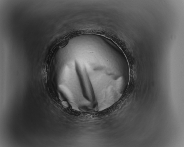 X0000093121493200710101030