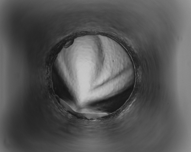 X0000093121494200710101030