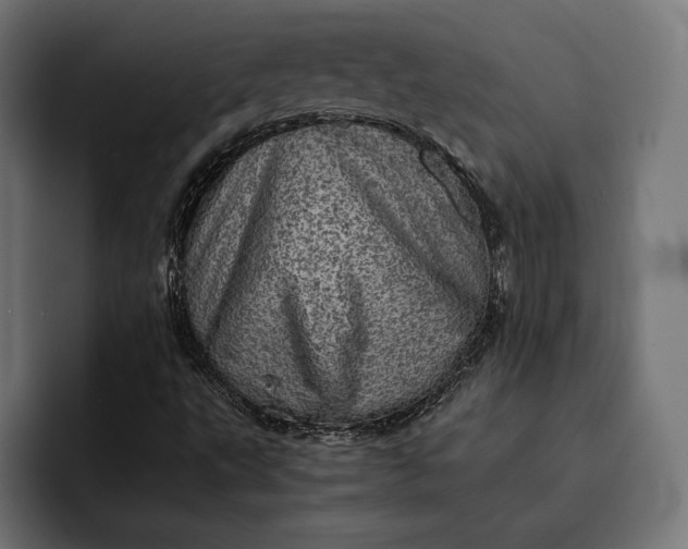 X0000093121495200710101030