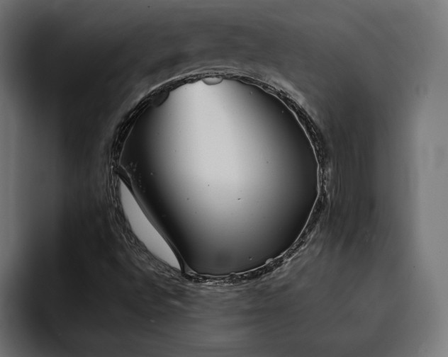 X0000093121496200710101030