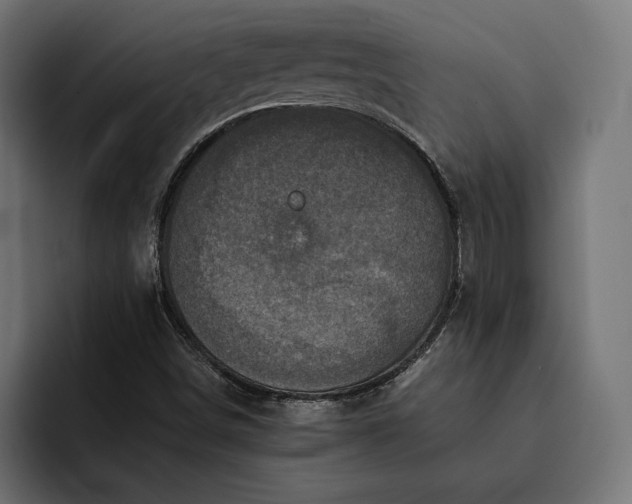 X0000093121498200710101030