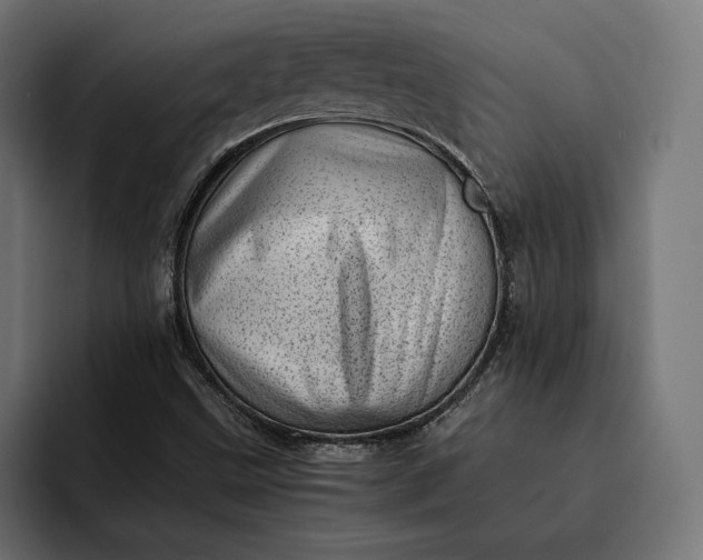 X0000093121499200710101030