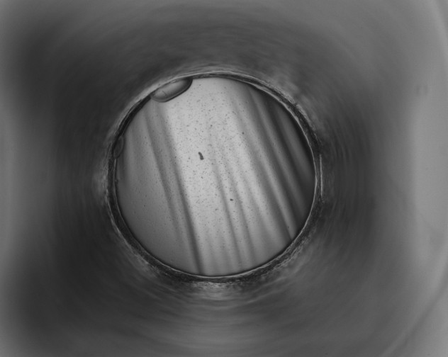 X0000093121500200710101030