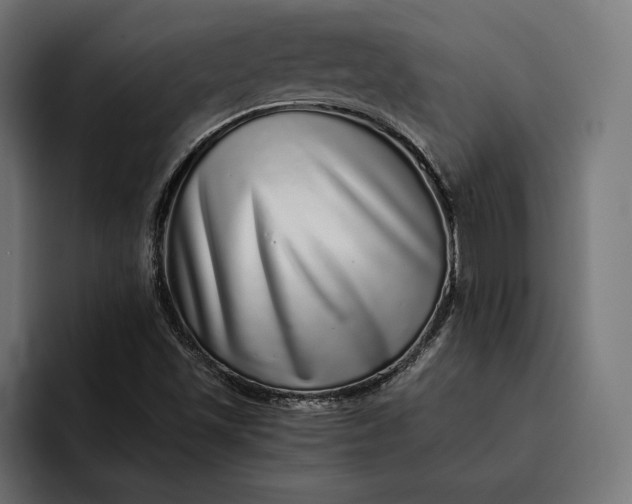 X0000093121501200710101030