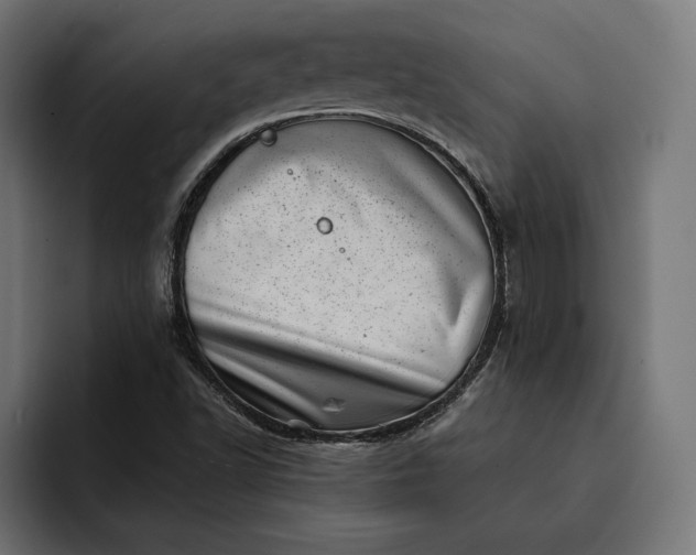 X0000093121502200710101030