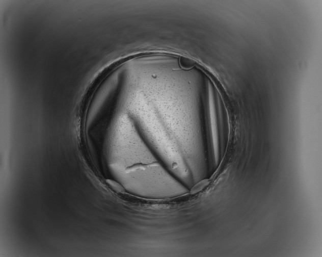 X0000093121503200710101030