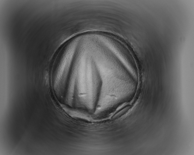 X0000093121505200710101030