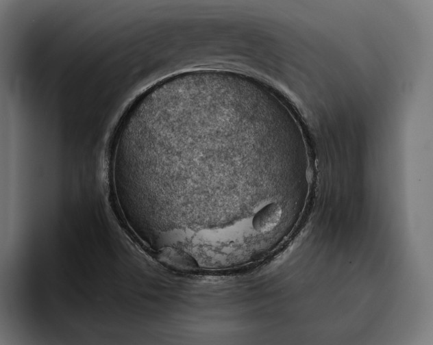 X0000093121506200710101030