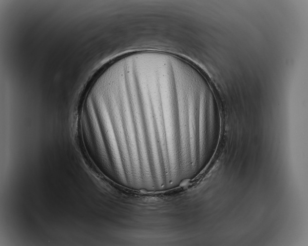 X0000093121507200710101030