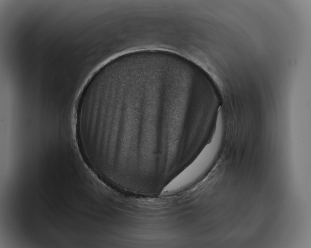 X0000093121508200710101030