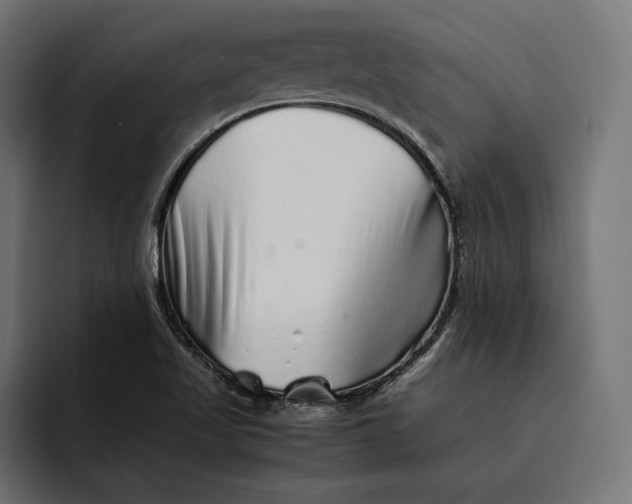 X0000093121509200710101030