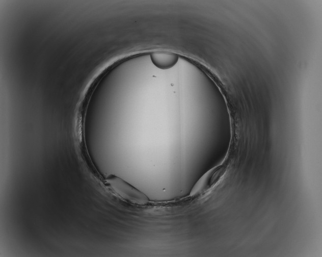 X0000093121510200710101030