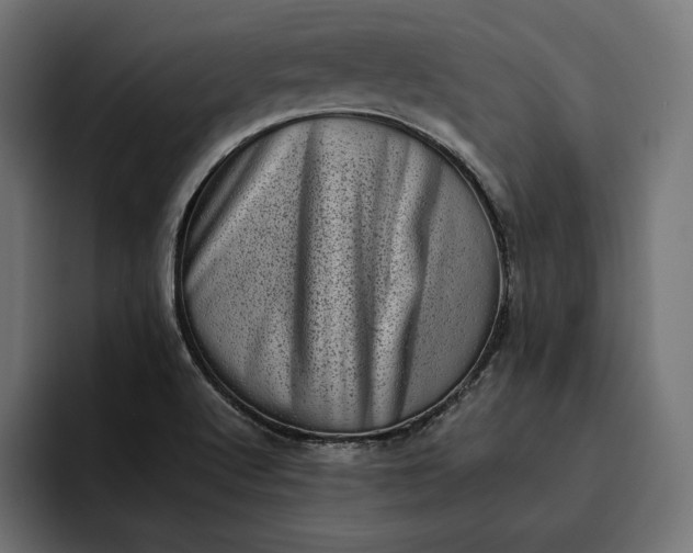 X0000093121512200710101030