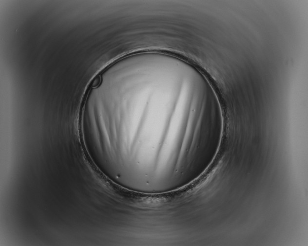 X0000093121513200710101030