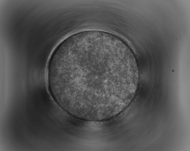 X0000093121514200710101030