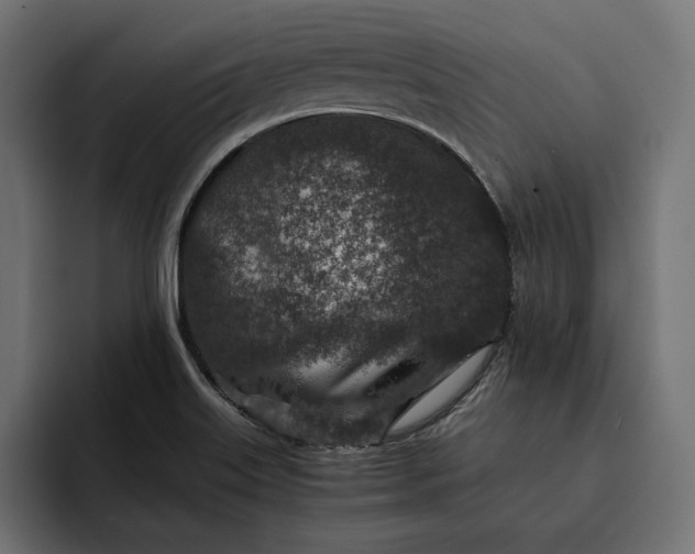 X0000093121515200710101030