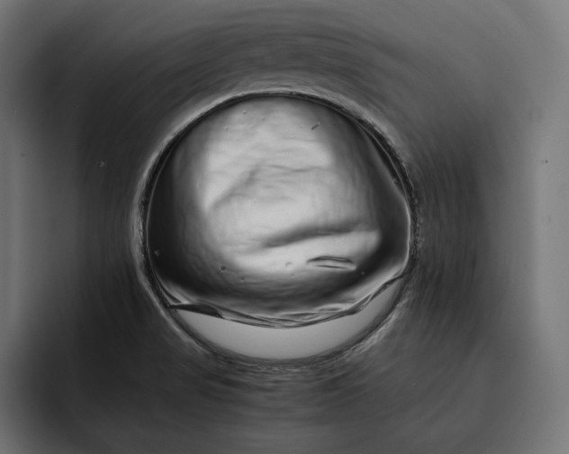 X0000093121517200710101030