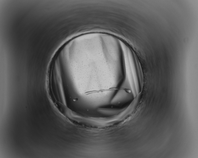 X0000093121518200710101030