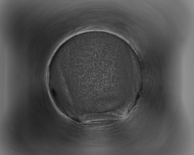 X0000093121519200710101030