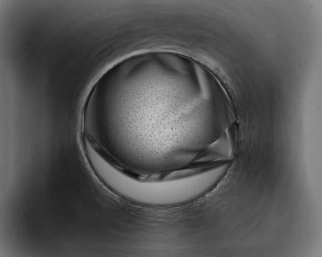 X0000093121520200710101030