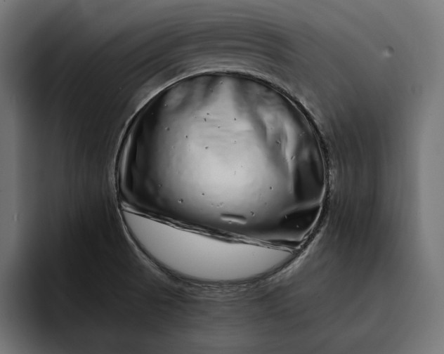 X0000093121521200710101030