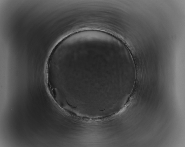 X0000093121522200710101030