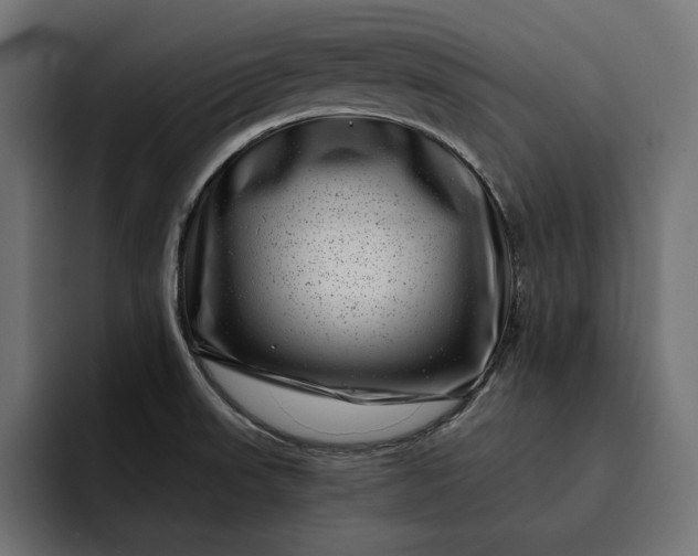 X0000093121523200710101030