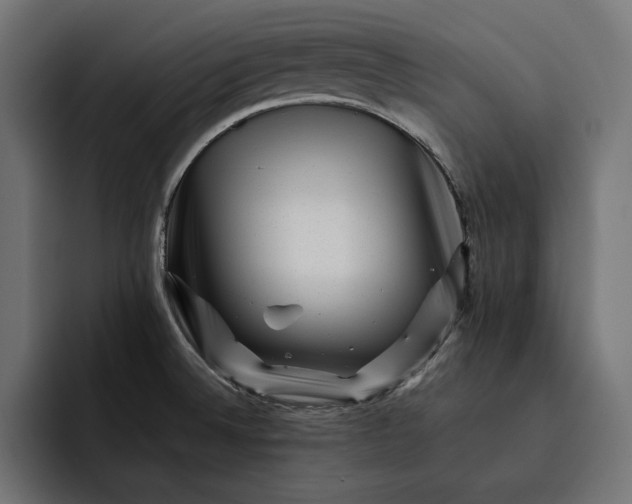 X0000093121524200710101030