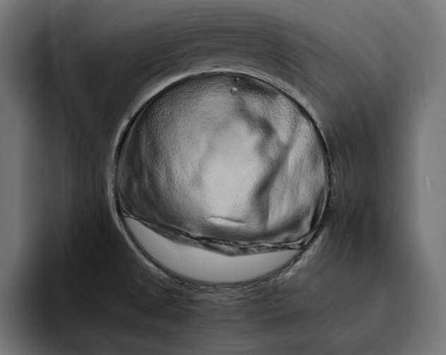 X0000093121525200710101030