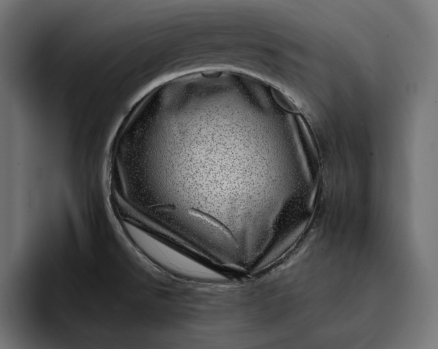 X0000093121526200710101031