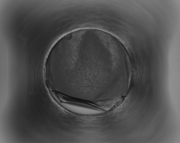 X0000093121527200710101031