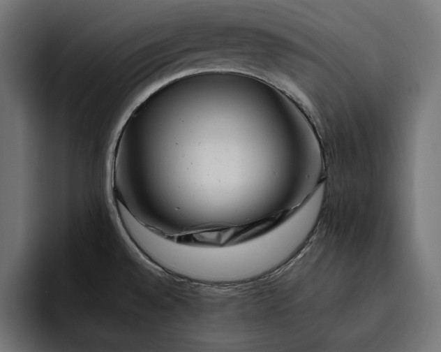 X0000093121528200710101031