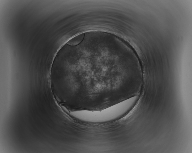 X0000093121529200710101031