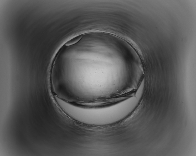 X0000093121530200710101031