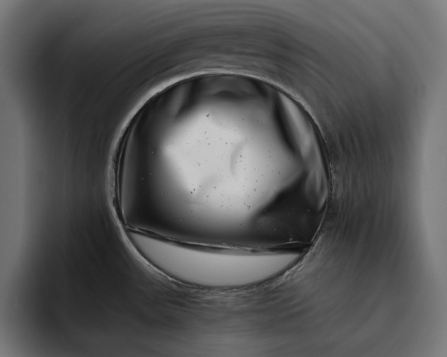 X0000093121531200710101031