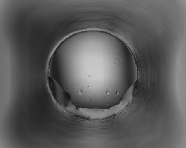 X0000093121532200710101031