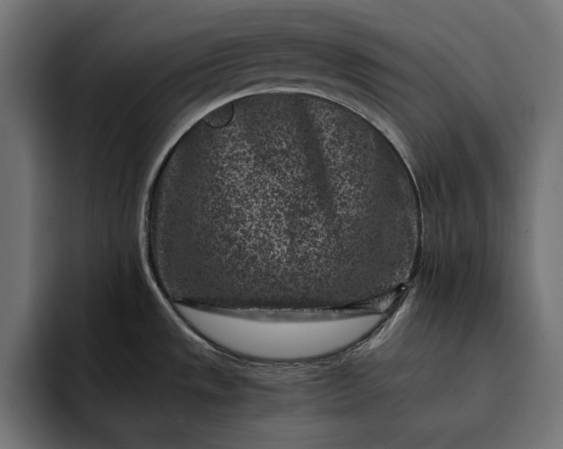 X0000093121533200710101031