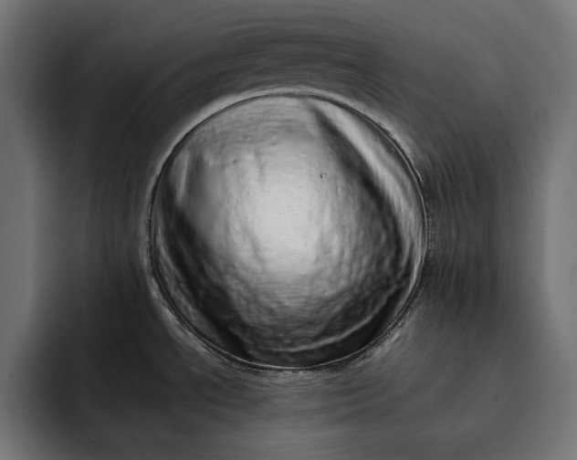 X0000093121534200710101031